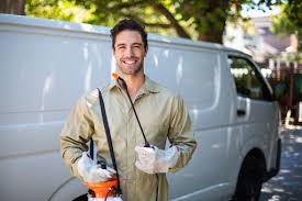 Best Termite Inspection and Treatment  in Hasson Heights, PA